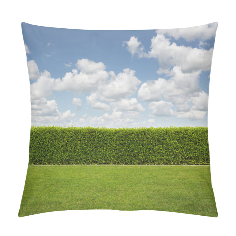 Personality  Back Yard, Close Up Of Hedge Fence On The Grass With Copy Space Pillow Covers