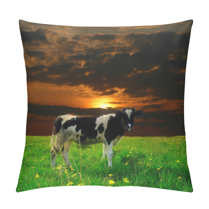 Personality  Cow Sunset Pillow Covers