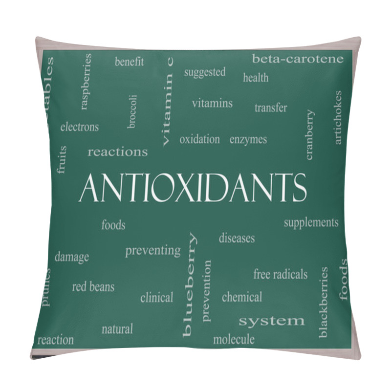 Personality  Antioxidants Word Cloud Concept On A Blackboard Pillow Covers