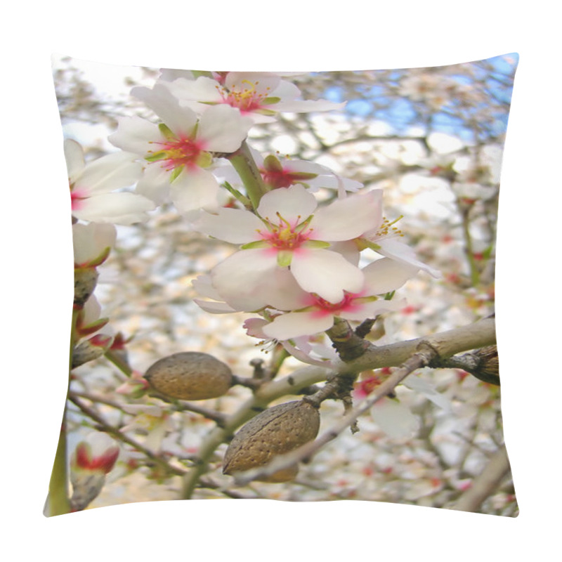 Personality  Blossom Of Almond Tree Pillow Covers