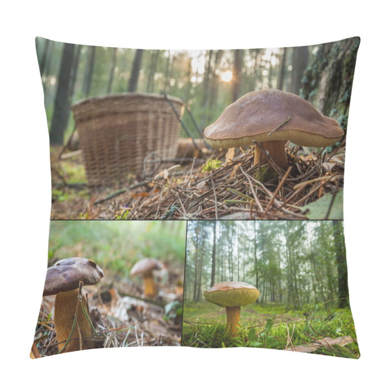 Personality  Collecting Wild Mushrooms In The Forest Pillow Covers