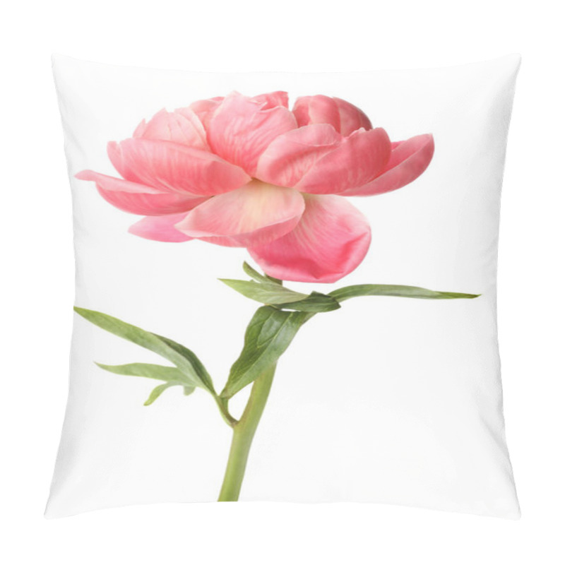 Personality  Beautiful Blooming Pink Peony Isolated On White Pillow Covers