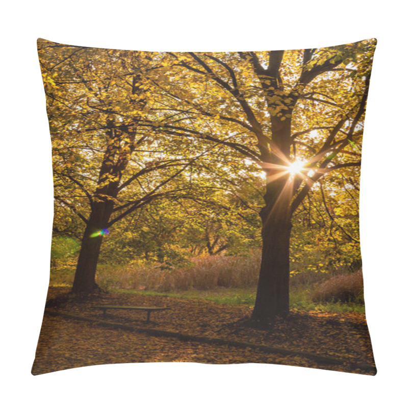 Personality  Autumn Sunny Alley In The Leaves, Through The Trees The Sun Brea Pillow Covers