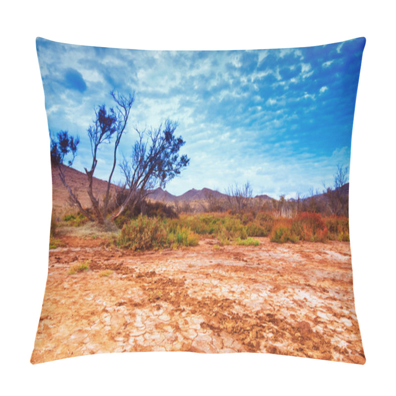 Personality  Tree Near Sand Dunes In The Desert, Spain, Andalucia, Almeria Pillow Covers