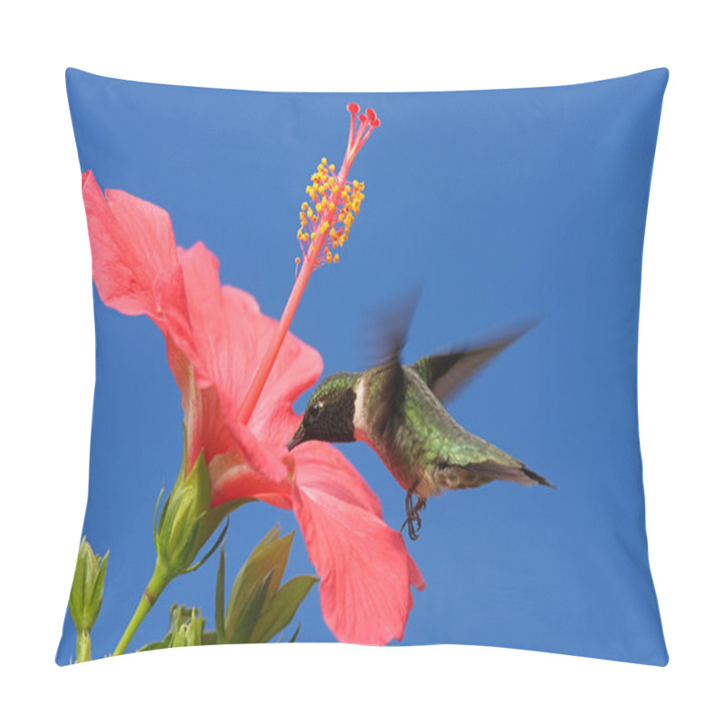 Personality  Ruby-throated Hummingbird Pillow Covers