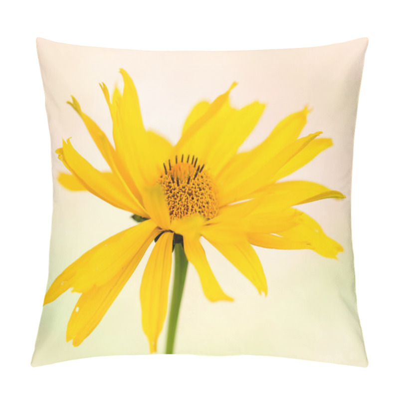 Personality  Nature Pillow Covers