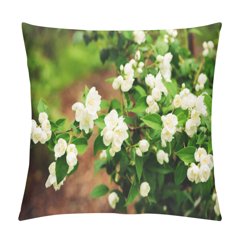 Personality  White Flowers Of Mock Orange Shrub (Philadelphus) Blooming In Summer Garden Pillow Covers