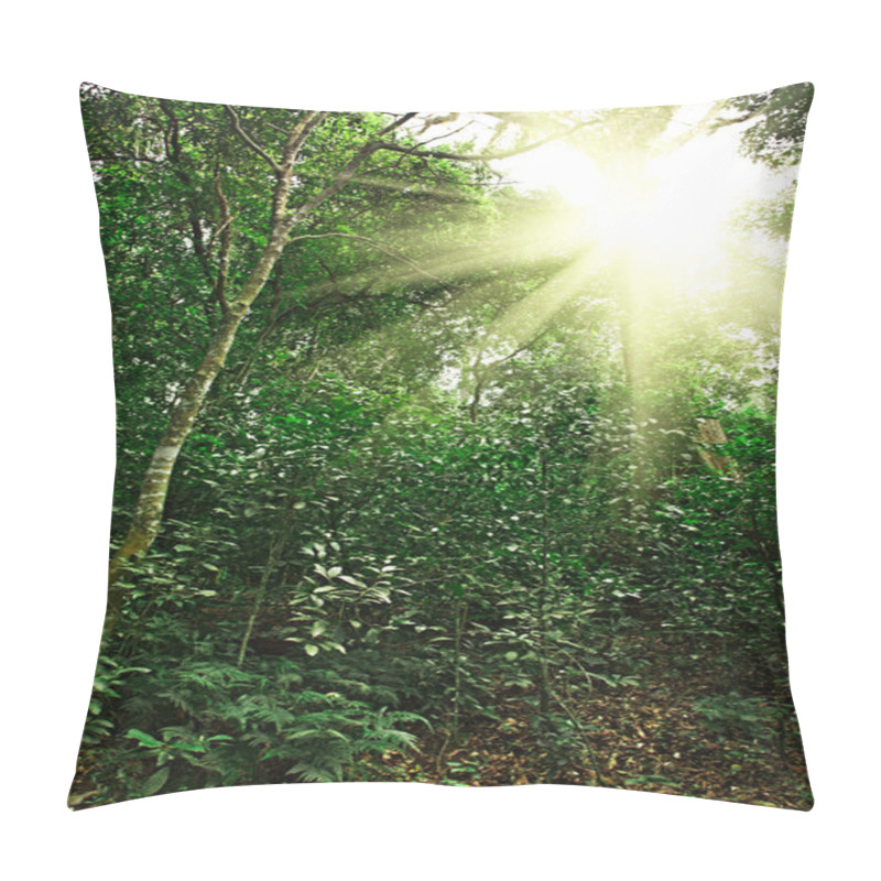 Personality  Sunlight In Tropical Jungle Forest Pillow Covers