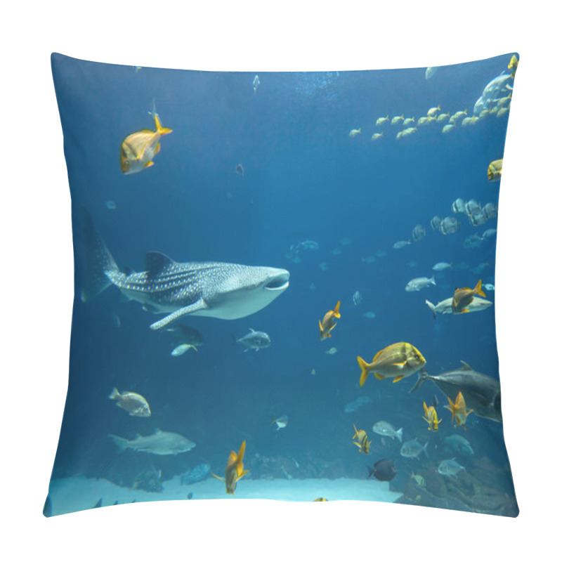 Personality  Whale Shark pillow covers