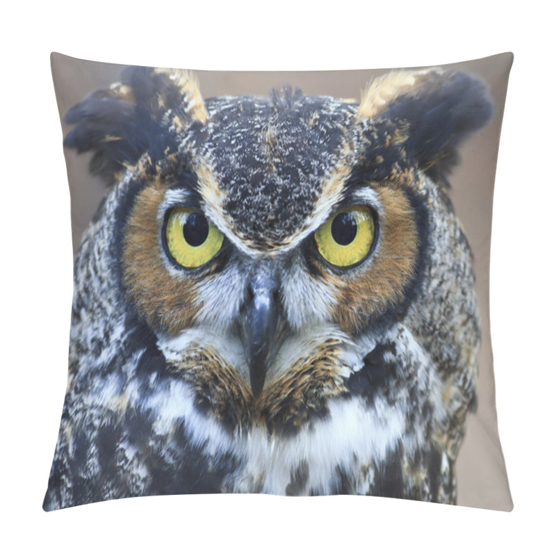 Personality  Great Horned Owl Pillow Covers