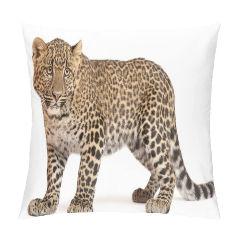 Personality  Leopard, Panthera Pardus, 6 Months Old, Standing In Front Of White Background Pillow Covers