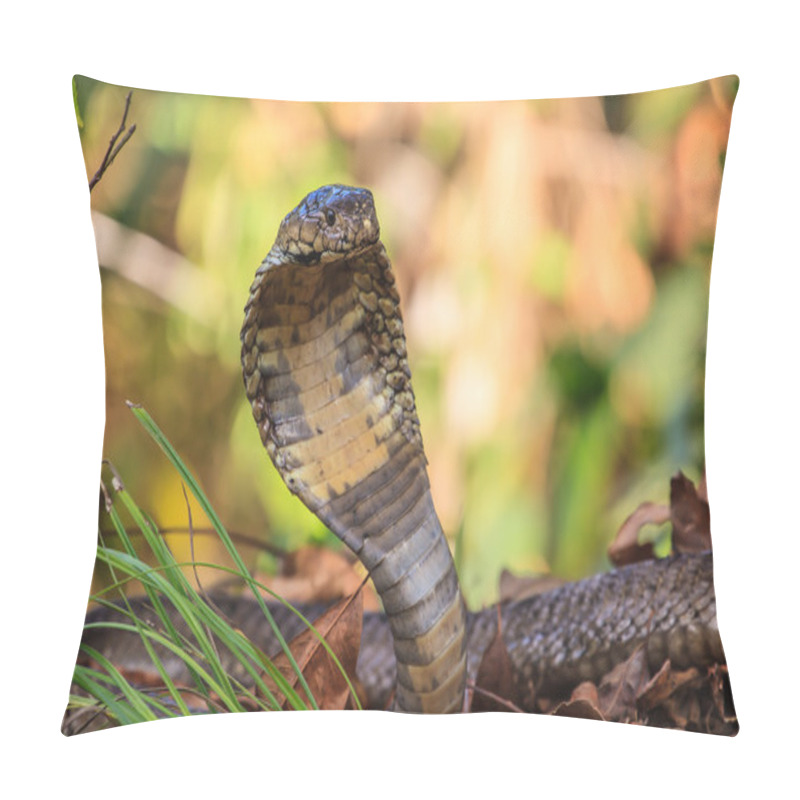 Personality  Close Up  Monocellate Cobra Pillow Covers