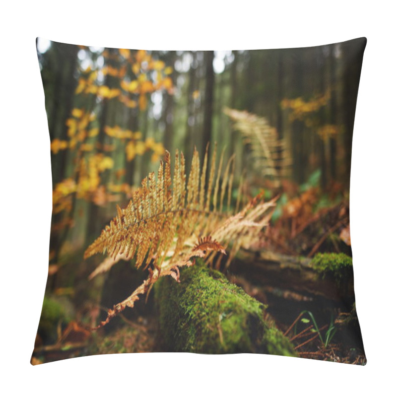 Personality  Autumn Fern Leaves In The Forest Pillow Covers