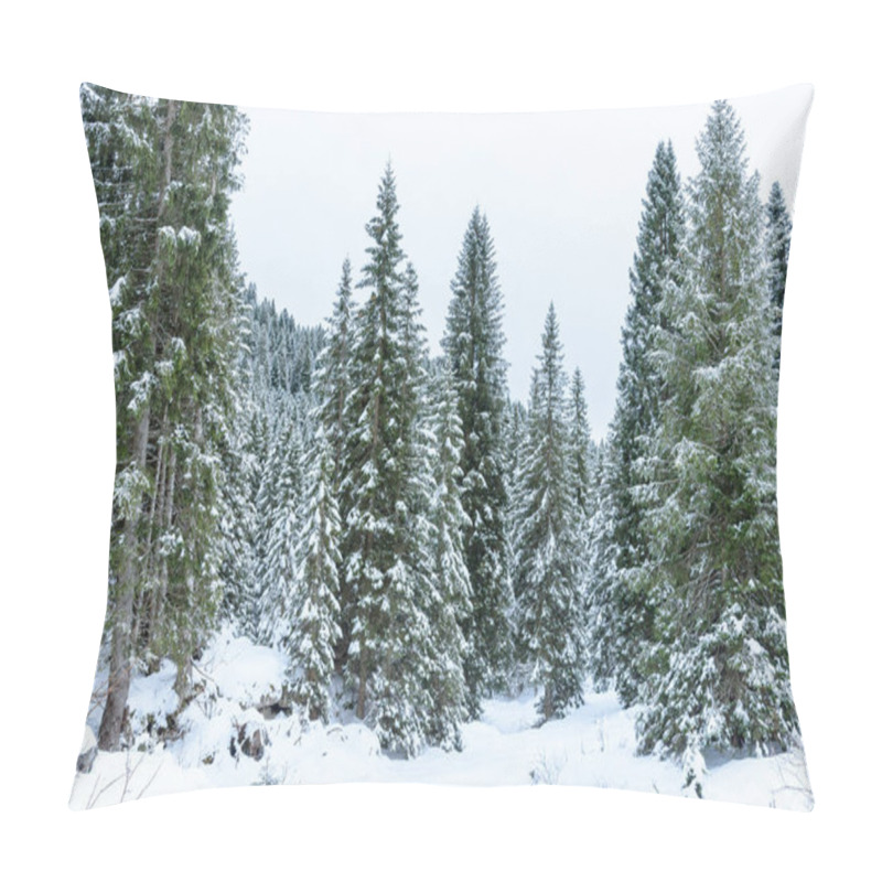 Personality  View Of A Winter Mountain Forest On A Cloudy Day. Natural Background. Pillow Covers