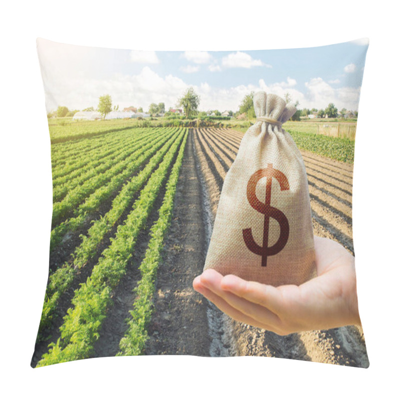 Personality  Hand Holds Out A Dollar Money Bag On A Background Of A Carrot Plantation. Support And Subsidies. Farm Loans. Lending Farmers For Purchase Land And Seed Material, Modernization. Revival Of The Village. Pillow Covers