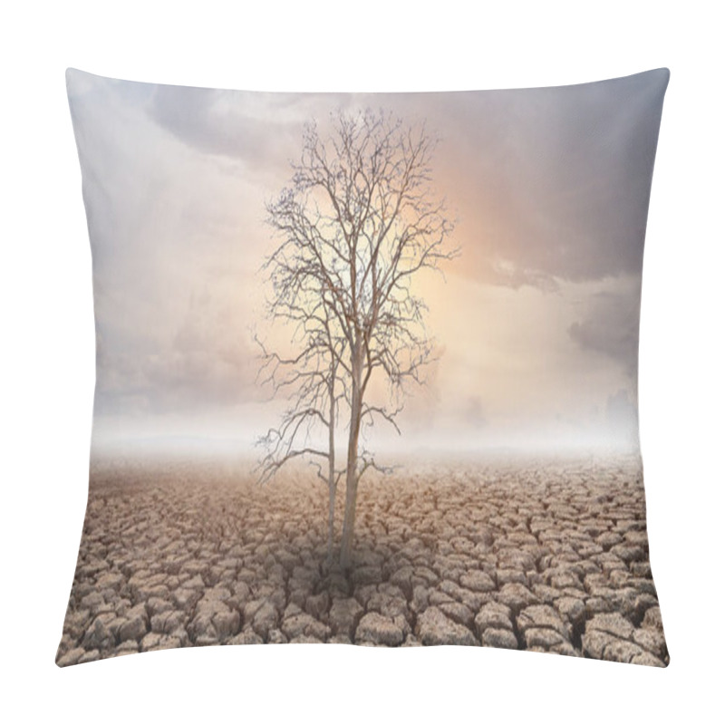 Personality  The Tree Is Dried On Cracked Soil In Arid Areas Of Landscape Pillow Covers