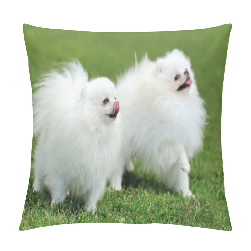 Personality  White Pomeranian Dog Pillow Covers