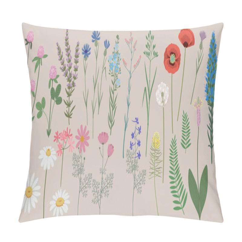 Personality  Hand Drawn Vector Illustration. Set Of Isolated Summer Wildflowers. Blossom Meadow Pillow Covers