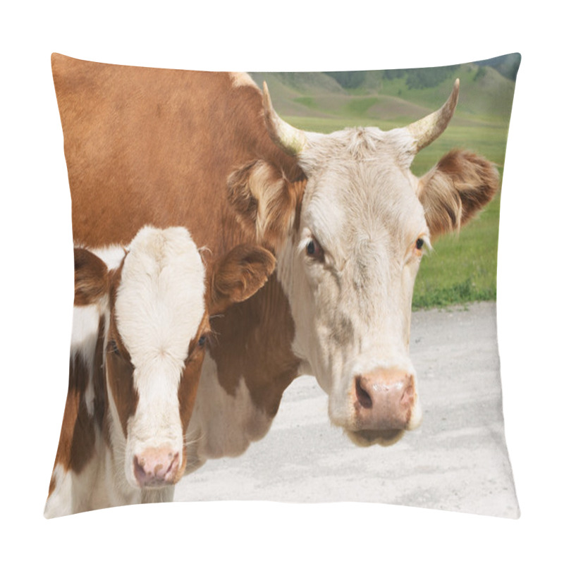 Personality  Cow And Calf Pillow Covers