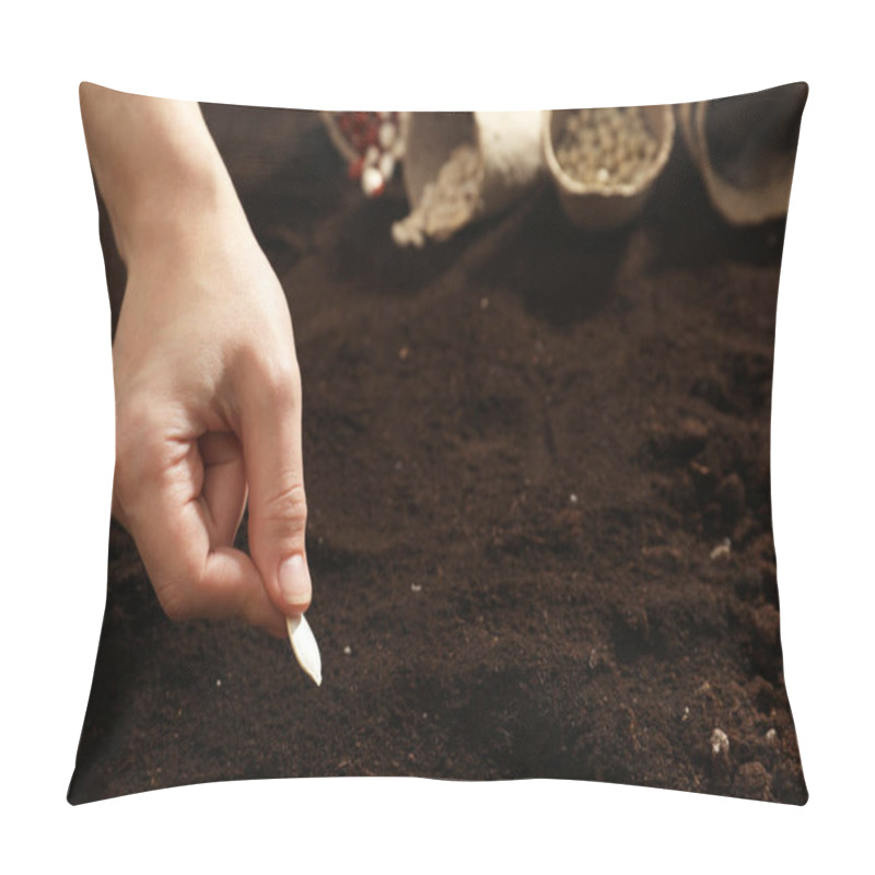 Personality  Woman Planting Pumpkin Seeds Into Fertile Soil, Closeup. Vegetables Growing Pillow Covers