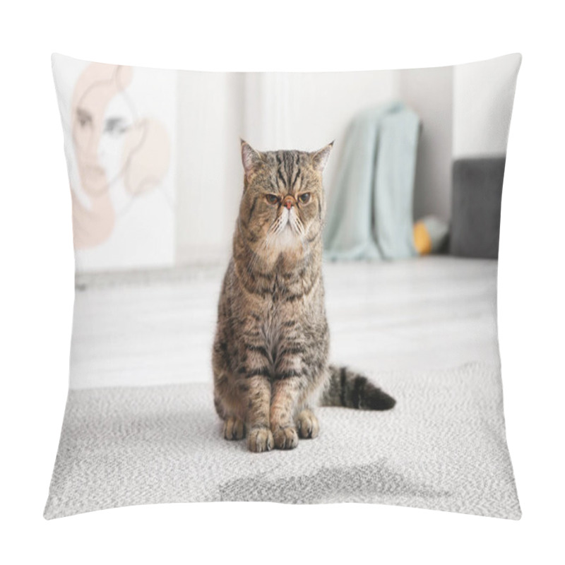 Personality  Cute Cat Near Wet Spot On Carpet Pillow Covers