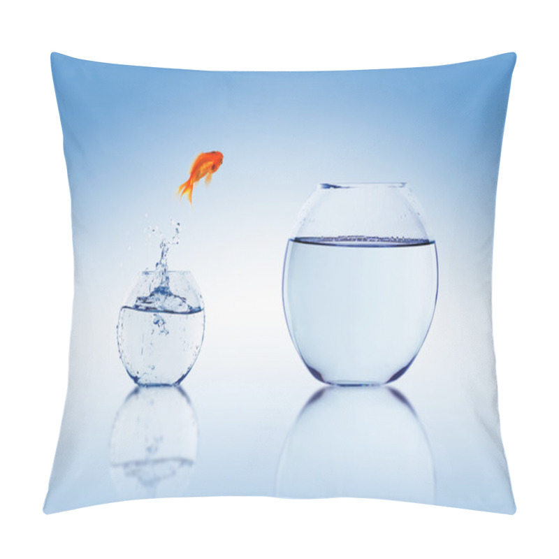 Personality  Goldfish Jump Pillow Covers