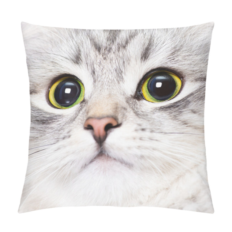 Personality  Kitty Pillow Covers