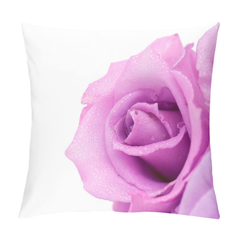 Personality  Blue Rose Isolated On White Background Pillow Covers