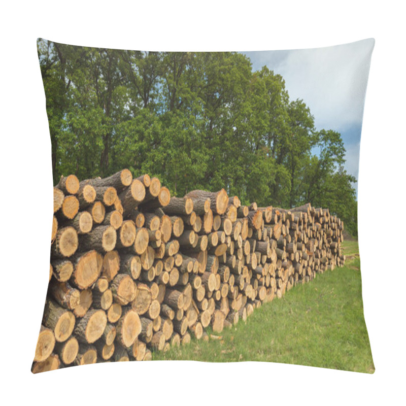 Personality  Big Pile Of Oak Wood In A Forest Pillow Covers