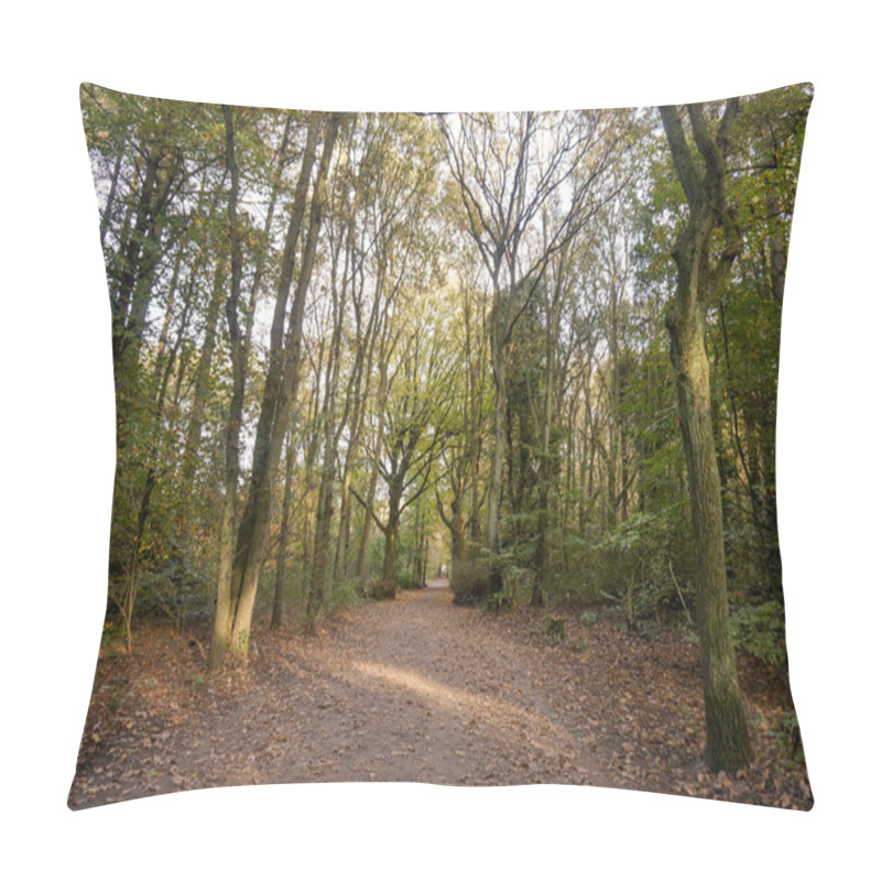 Personality  Footpath In The Fall In The Forest Pillow Covers