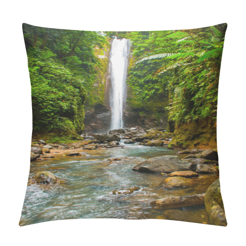 Personality  Casaroro Waterfall, Philippines. Valencia, Island Negros. Pillow Covers