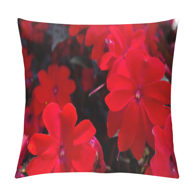 Personality  Red Begonia Growing In Vietnam Pillow Covers