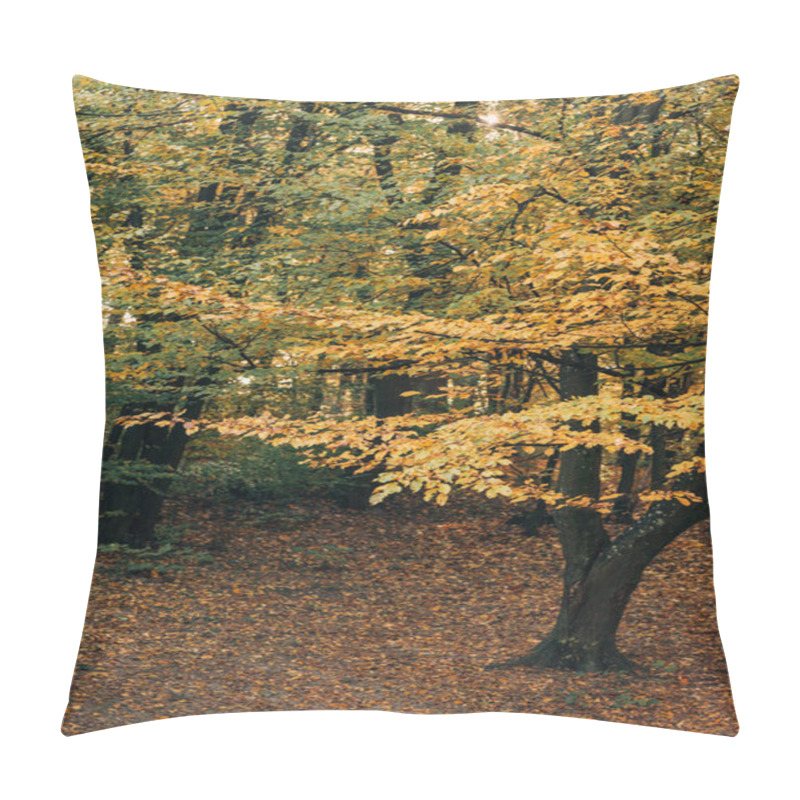 Personality  Autumnal Trees With Yellow And Green Leaves On Twigs In Peaceful Forest Pillow Covers