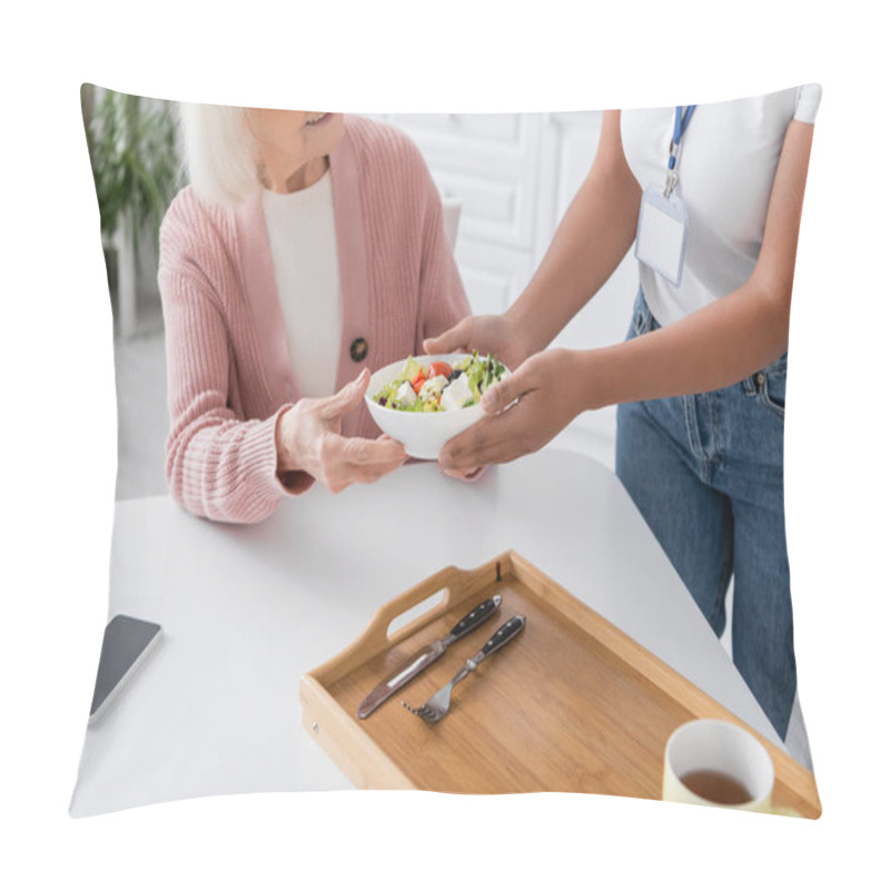 Personality  Cropped View Of Multiracial Social Worker Giving Bowl With Salad To Happy Senior Woman  Pillow Covers