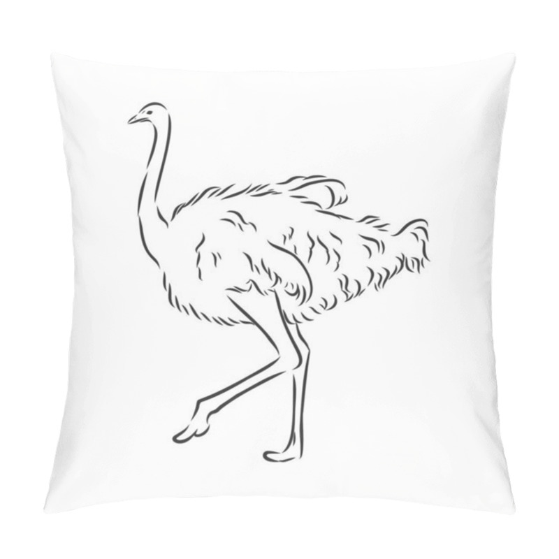 Personality  Vector Illustration. Hand Drawn Realistic Sketch Of Ostrich Pillow Covers