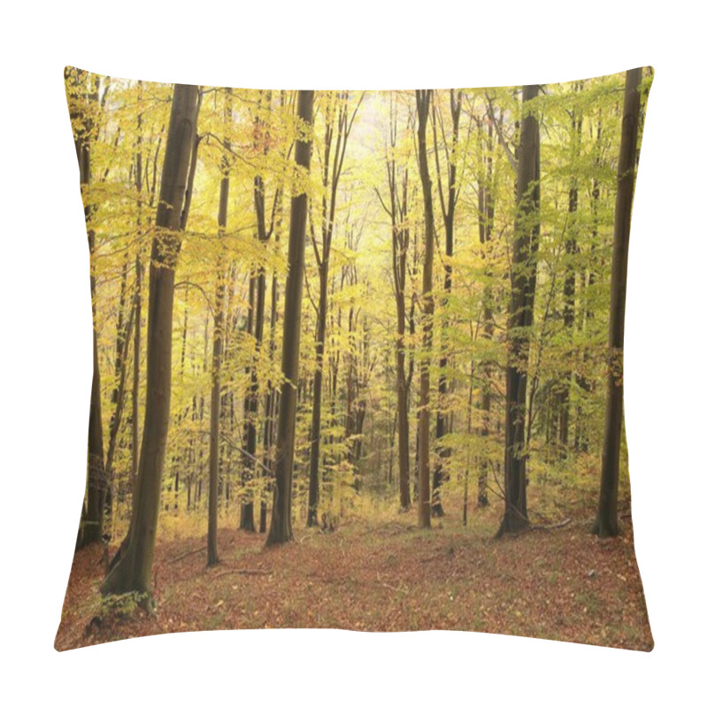 Personality  Autumnal Beech Forest Pillow Covers