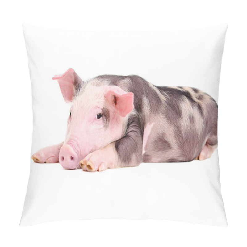 Personality  Cute Little Piglet Pillow Covers