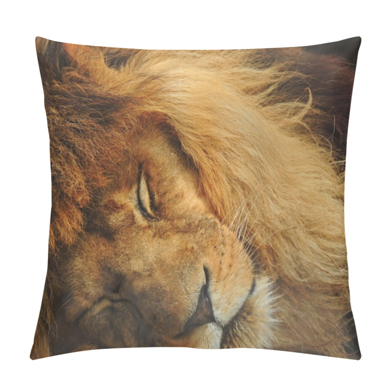 Personality  Sleeping Lion Pillow Covers