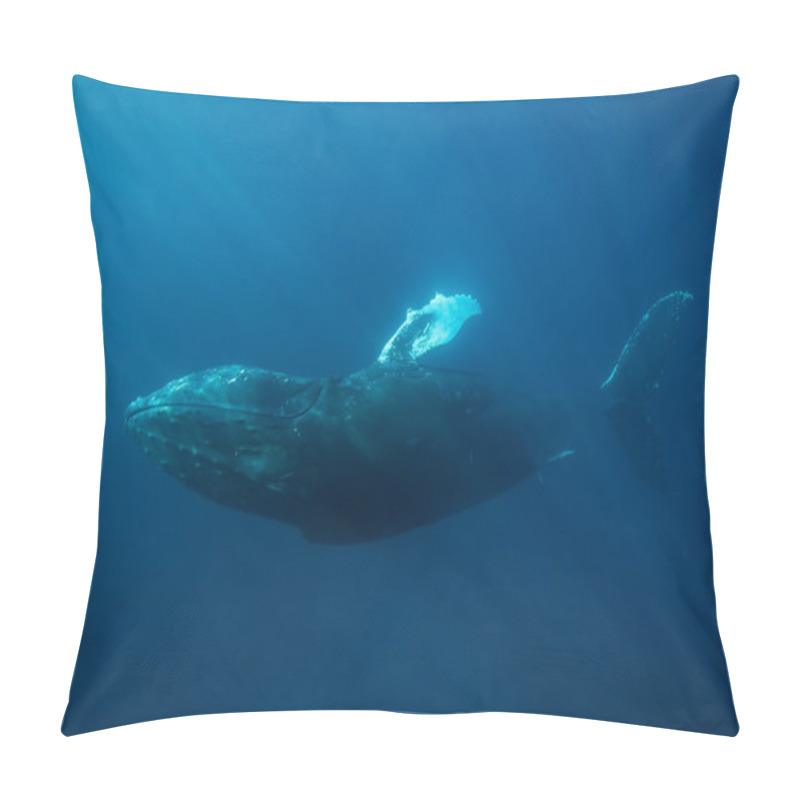 Personality  Humpback Whale Underwater Pillow Covers