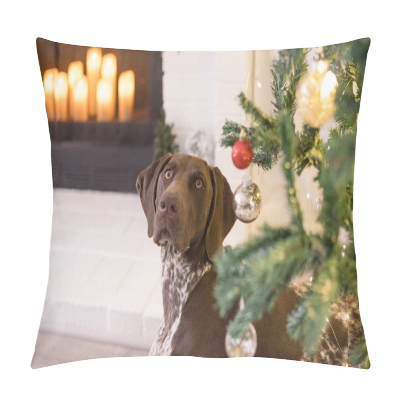 Personality  Dog Looking Up Under The Christmas Tree Pillow Covers