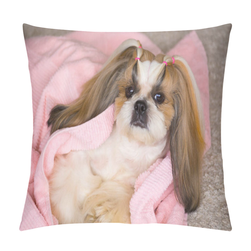 Personality  Beautiful Shih-tzu Dog At The Groomer's Hands With Comb. Pillow Covers