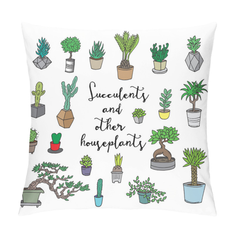 Personality  Succulents And Other Houseplants. Pillow Covers