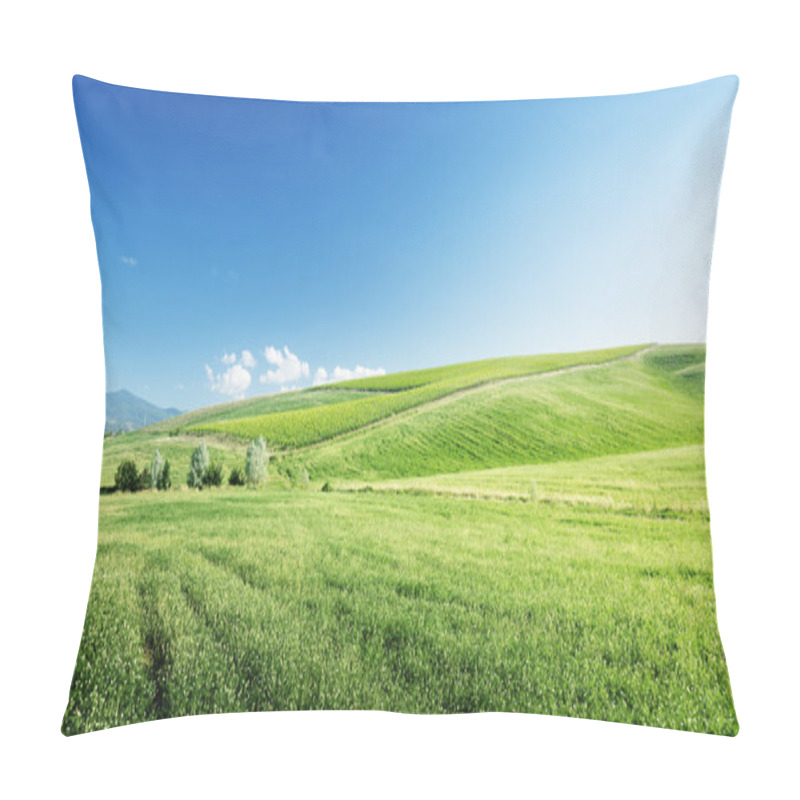 Personality  Hills In Sunny Day Tuscany, Italy Pillow Covers