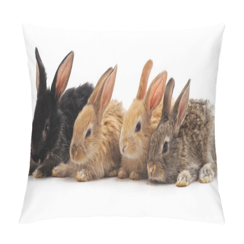 Personality  Four Little Rabbits. Pillow Covers