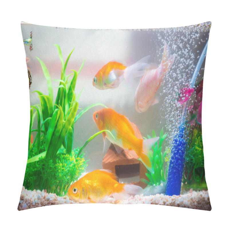 Personality  Little Fish In Fish Tank Or Aquarium, Gold Fish, Guppy And Red F Pillow Covers