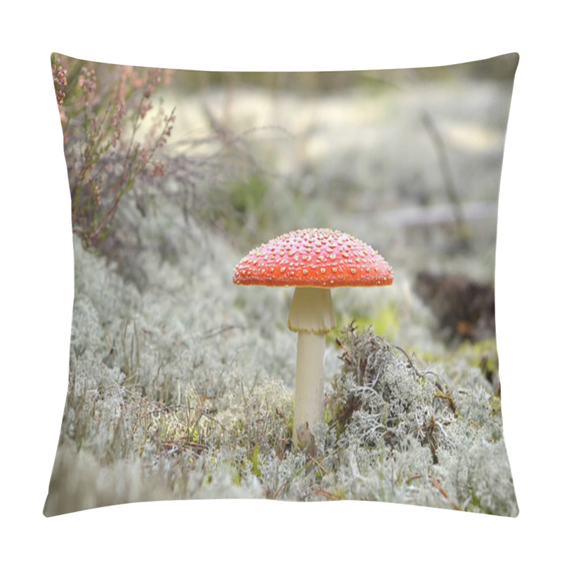 Personality  Fly Agaric Mushroom Pillow Covers