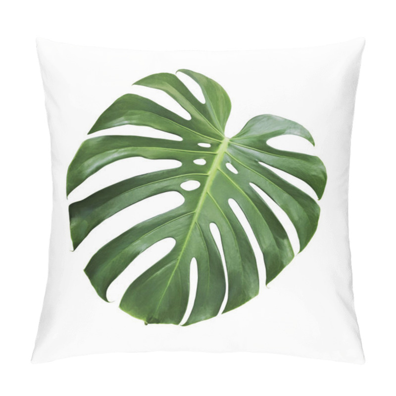 Personality  Monstera Deliciosa Tropical Leaf Isolated On White Background With Clipping Path Pillow Covers