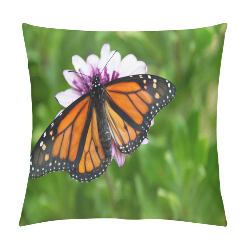 Personality  Monarch Butterfly Is Sitting On A Flower In The Garden Pillow Covers