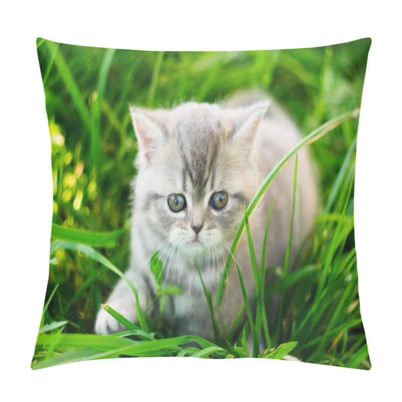 Personality  A Little British Kitten Sits In The Green Grass Pillow Covers