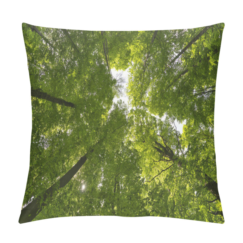 Personality  A Great View Up Into The Trees Direction Sky In May With A Beautiful Sunstar, Germany Pillow Covers